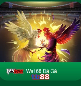 tb88